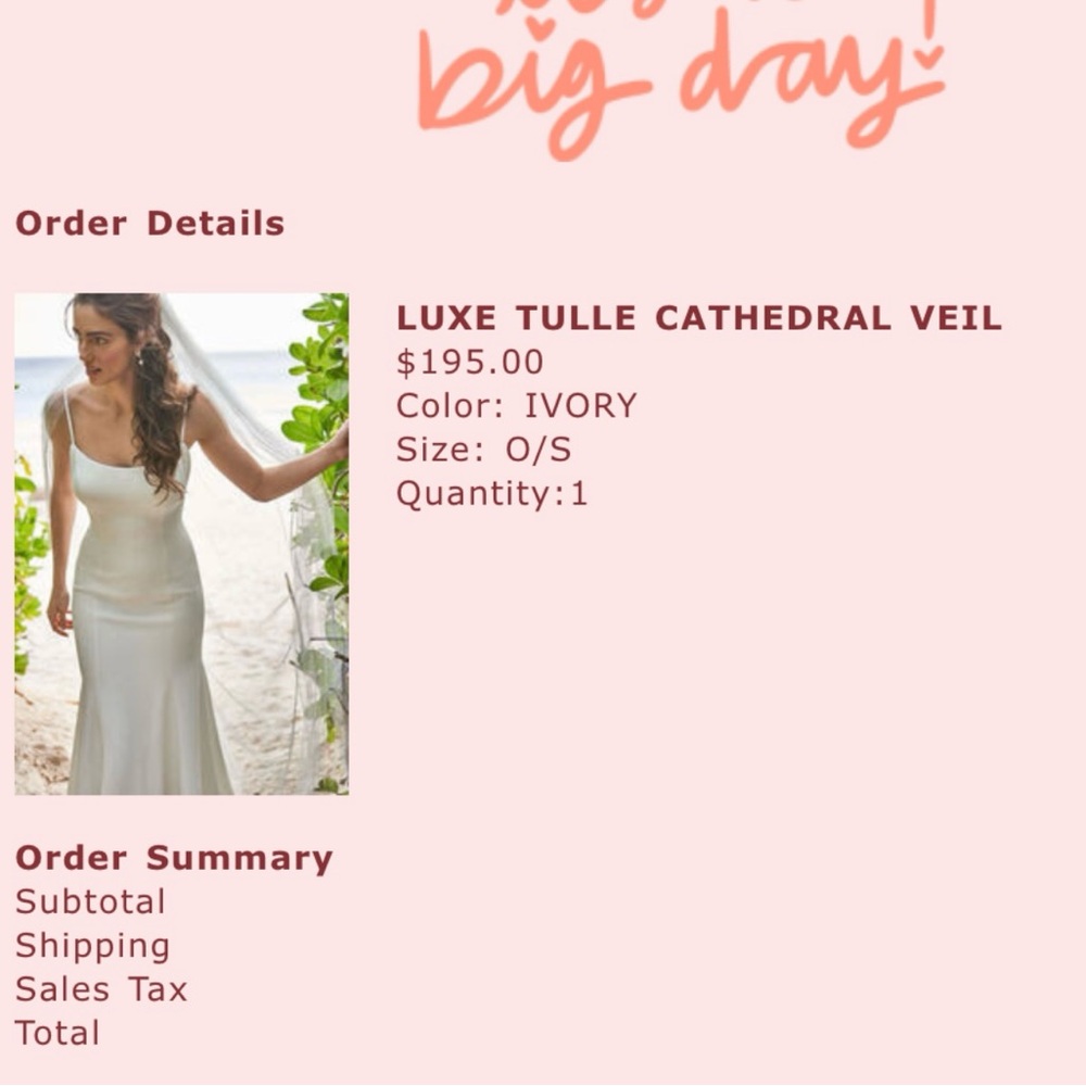 COPY - Vow’d Luxe Tulle Cathedral length Veil